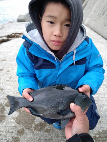 クチブトグレの釣果