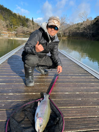 レインボートラウトの釣果