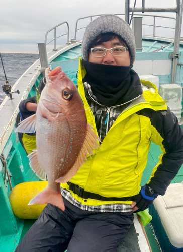 マダイの釣果