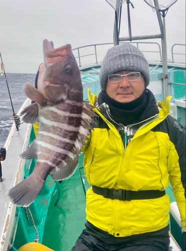 マハタの釣果