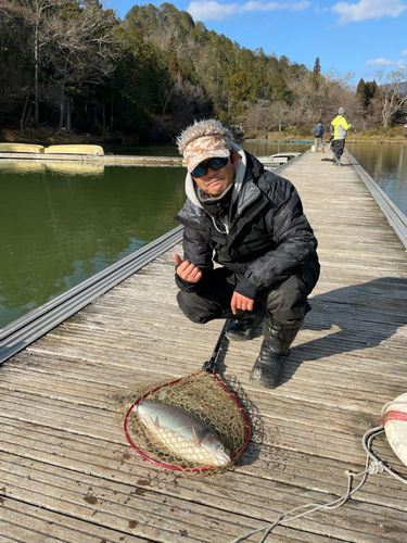 レインボートラウトの釣果