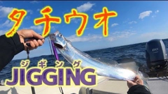 タチウオの釣果