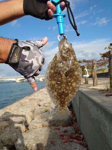 釣果