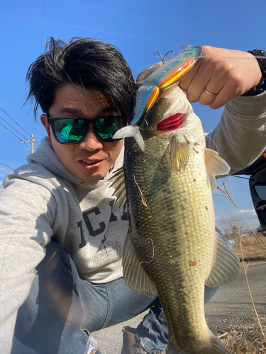 ブラックバスの釣果