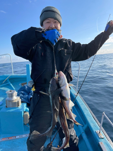 スケトウダラの釣果