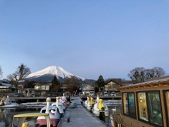 ワカサギの釣果