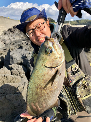 イスズミの釣果