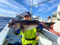 アカムツの釣果