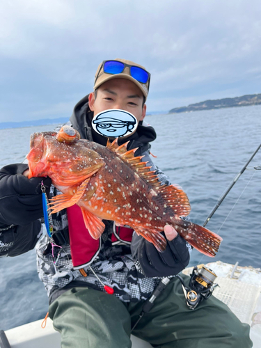 カサゴの釣果