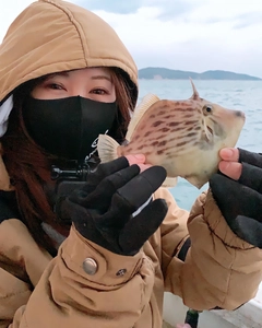 カワハギの釣果