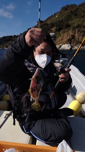 カワハギの釣果