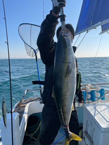 メジロの釣果