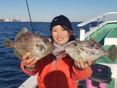 カワハギの釣果