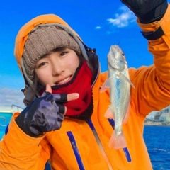 イシモチの釣果