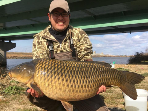 コイの釣果