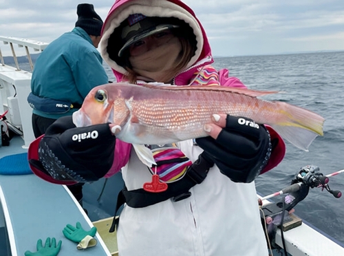 アマダイの釣果