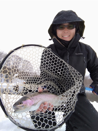 トラウトの釣果