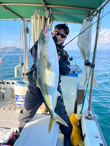 ハマチの釣果