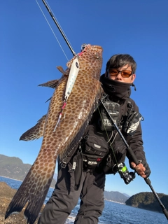 オオモンハタの釣果