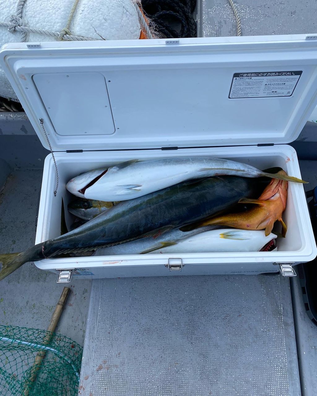 ちゃんかわさんの釣果 3枚目の画像