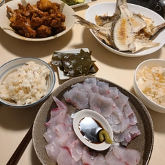 タイの釣果