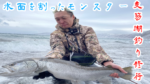 ブラウントラウトの釣果