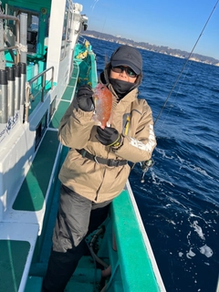 チャリコの釣果