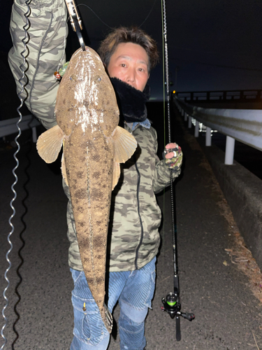 マゴチの釣果