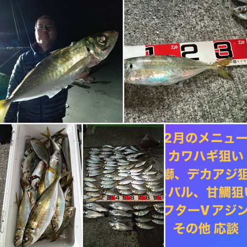 アジの釣果