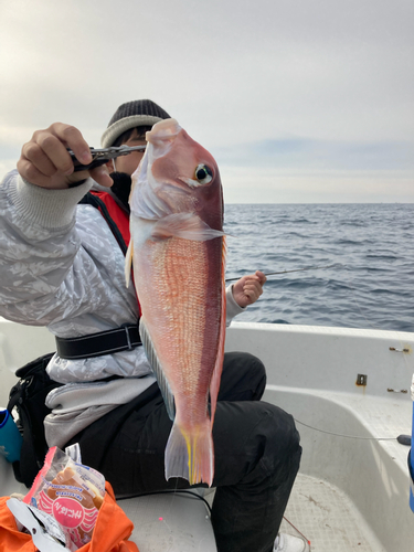 アマダイの釣果