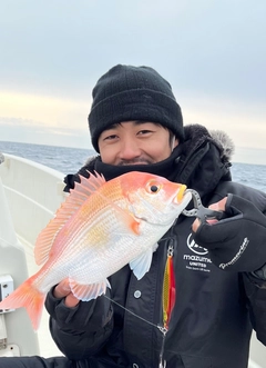 レンコダイの釣果