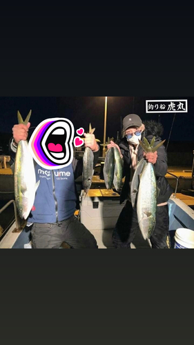 メジロの釣果