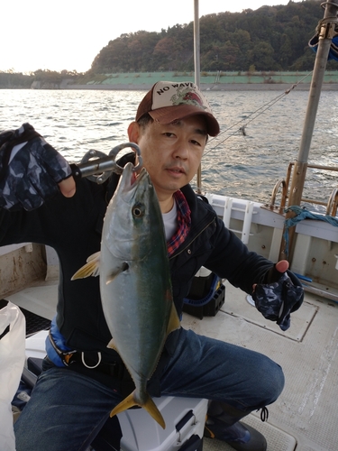 ヤズの釣果