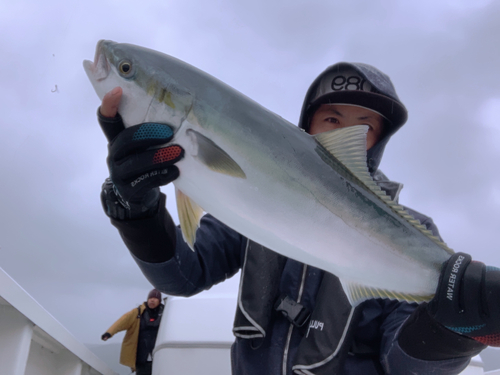 ヤズの釣果