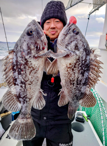 クロソイの釣果