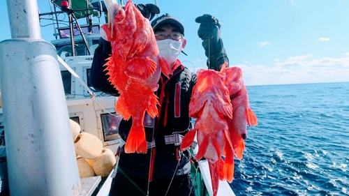 アコウダイの釣果