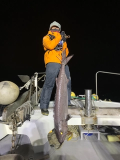 バラムツの釣果