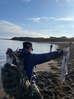 アキアジの釣果