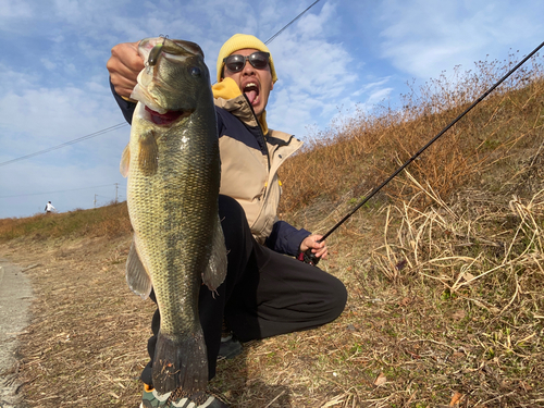 ラージマウスバスの釣果