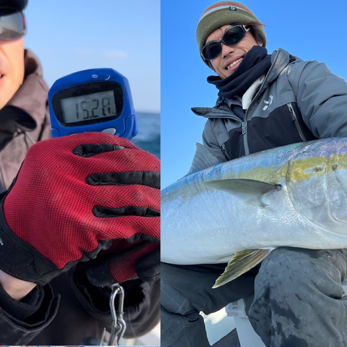 ヒラマサの釣果