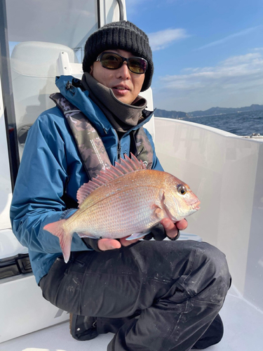 マダイの釣果