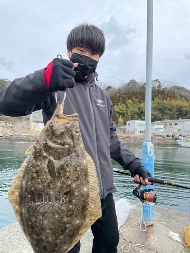 ヒラメの釣果