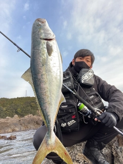 ハマチの釣果