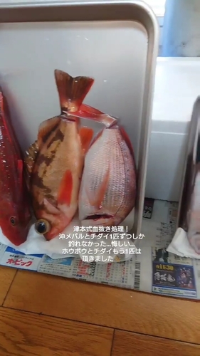 オキメバルの釣果