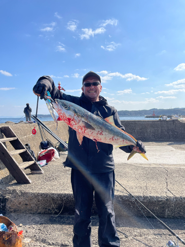 ブリの釣果