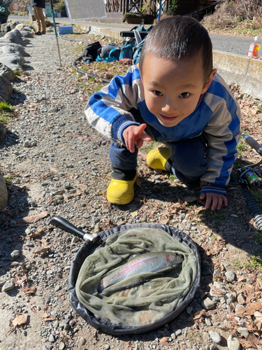 ニジマスの釣果