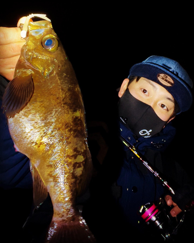 アカメバルの釣果