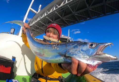 タチウオの釣果