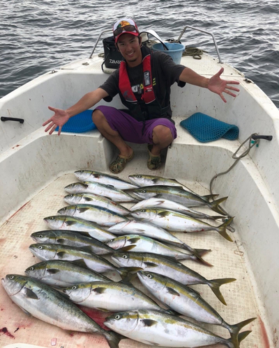 ワラサの釣果