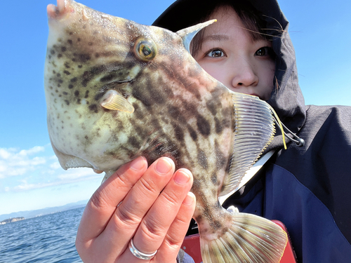 カワハギの釣果